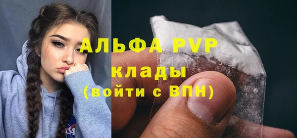 сатива Абаза