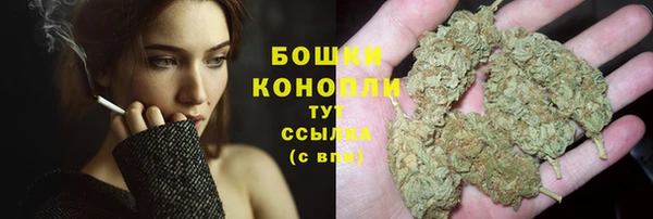 прущие грибы Абдулино