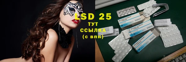 прущие грибы Абдулино