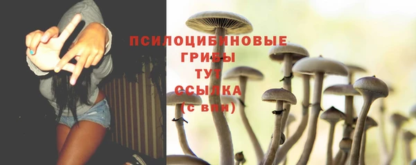 прущие грибы Абдулино