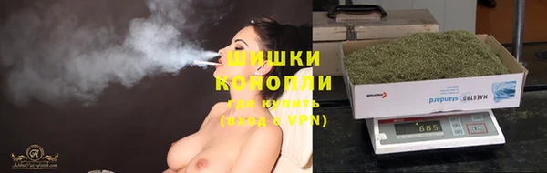 сатива Абаза