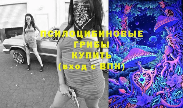 прущие грибы Абдулино