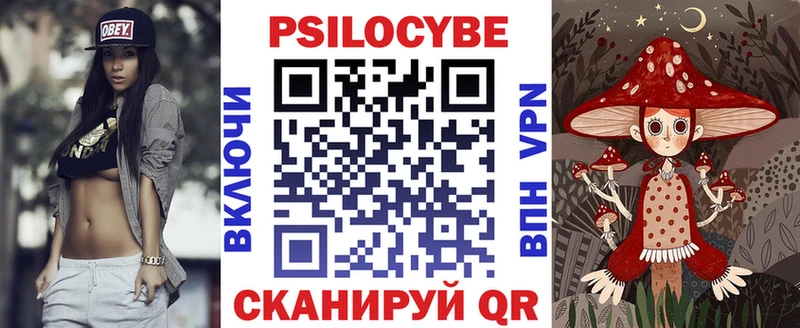 blacksprut зеркало  Камень-на-Оби  Псилоцибиновые грибы Psilocybine cubensis 